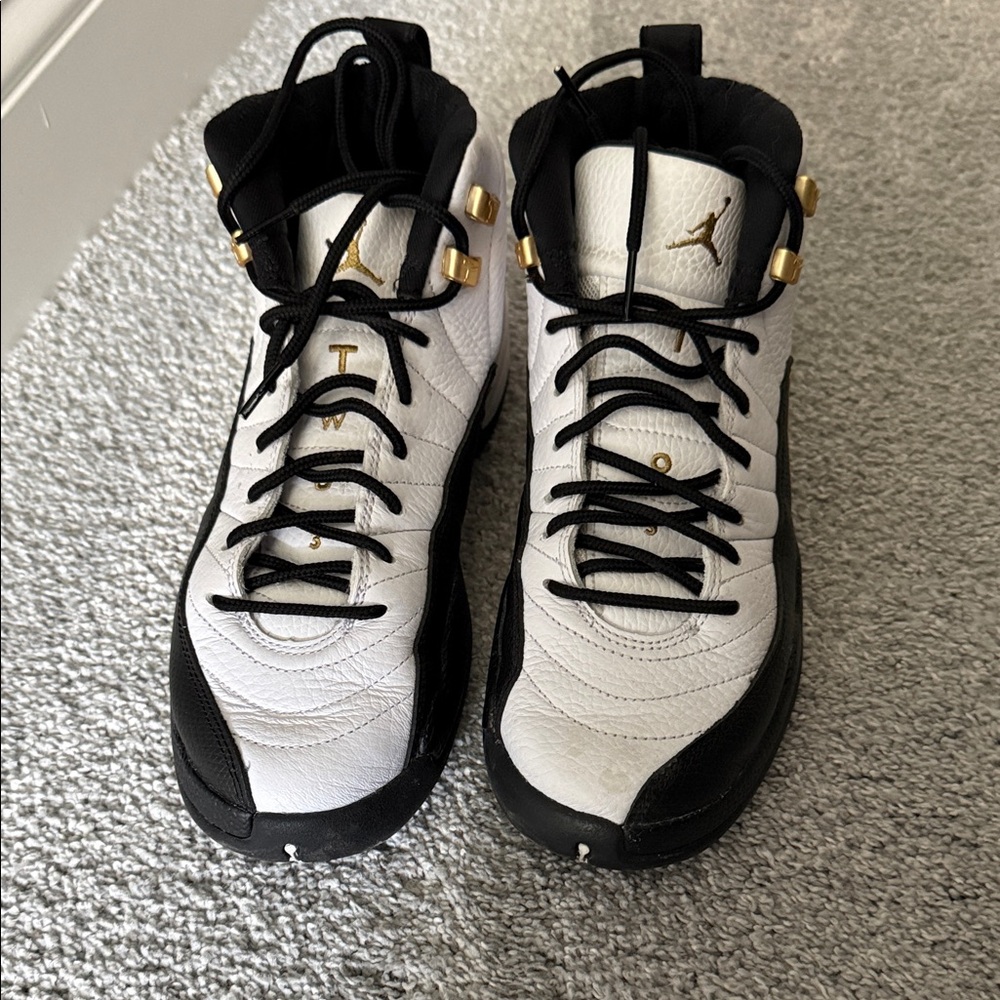 Air Jordan 12